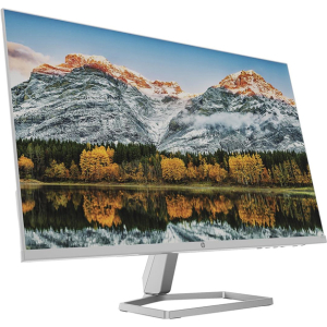 HP (23.8 Inch) with IPS Panel Technology