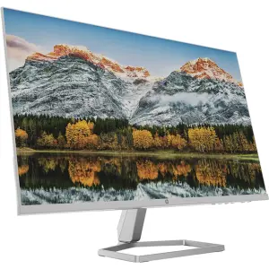 HP (23.8 Inch) with IPS Panel Technology