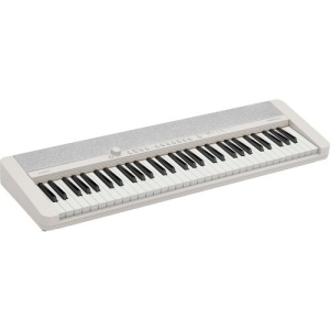Casio CT-S1WE Digital Keyboard with AD-E95100 Power Adapter