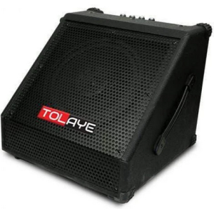 Tolaye EDM10 10” Subwoofer Speaker