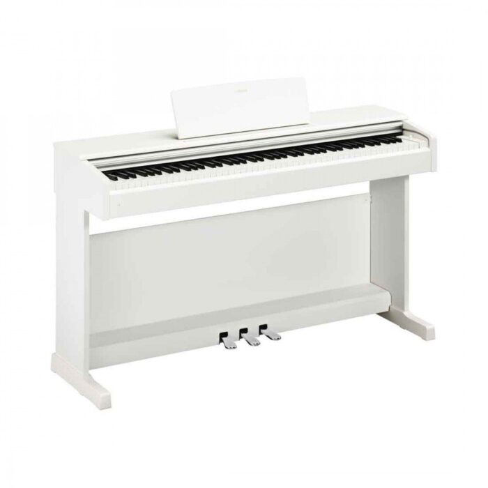 YDP-144WH_New-1000x1000-1