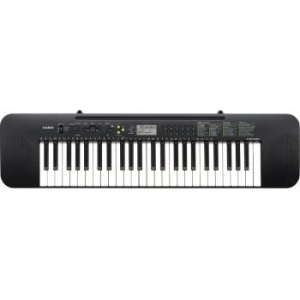 Casio CTK-240 Keyboard with ADE-95100 Adapter
