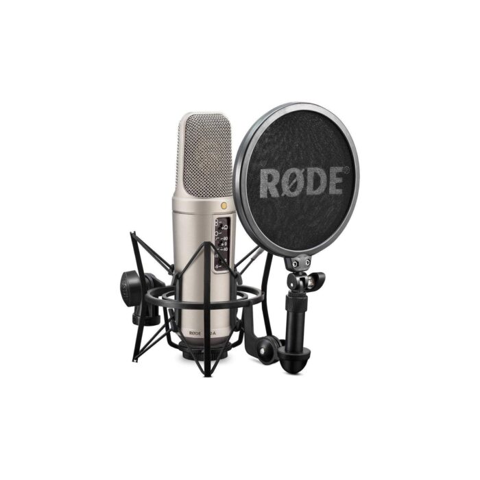 rode-condenser-microphone-rode-nt2-a-large-diaphragm-condenser-microphone-15088198516820_5000x